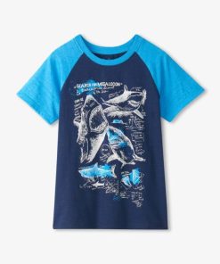 Stridecraft.shop33bca0779f 1