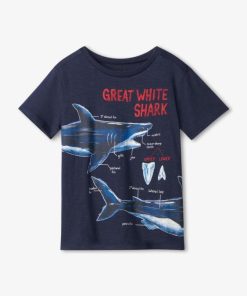 Stridecraft.shopef04e07a67 1